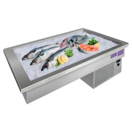 Ванна для льда встраиваемая Finist STATIC ice ВХВл-2 купить в Е.Маркет