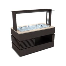 Буфет с ванной для льда Техно-ТТ БВЛ-102/966Д купить в Е.Маркет