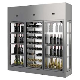 Винный шкаф Enofrigo WINE LIBRARY 3P 4V H260 P60 (A1WL4V3P266P/873) серебро купить в Е.Маркет