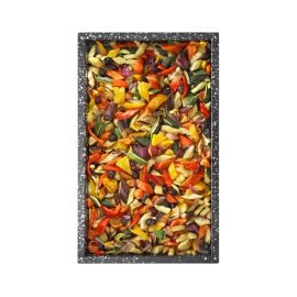 Противень Lainox S1104 GN 1/1-40 (530x325x40) керам. купить в Е.Маркет