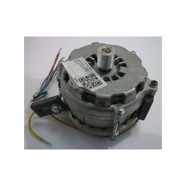 Двигатель Liloma для слайсера MS 250 ST купить в Е.Маркет