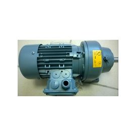 Двигатель Silanos TR0250 купить в Е.Маркет