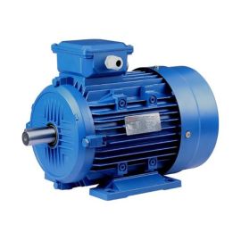 Электродвигатель для пилы ленточной для мяса Foodatlas JG-300 купить в Е.Маркет