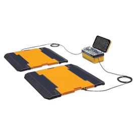 Весы автомобильные CAS RW-15-06 купить в Е.Маркет