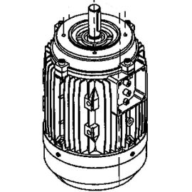 Электродвигатель привода вращения спирали 05.00.00043 для тестомеса т.м. Effedue, мод. M60 UNIMIX купить в Е.Маркет