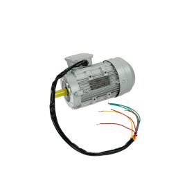 Мотор для тестомеса Apach CIL00054 купить в Е.Маркет