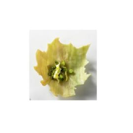 Блюдо сервировочное стеклянное "виноградный лист" 17,5х16,5см H3,5см, BOTANIQUE XGLAS-020V купить в Е.Маркет