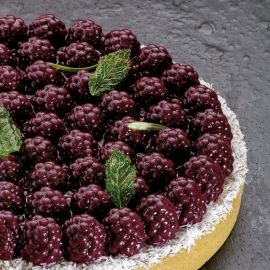 Форма для мороженого/суфле 3D "TOP RAVEN" D180мм H22мм, 380мл TOP24S купить в Е.Маркет