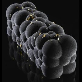 Форма для мороженого/суфле 3D "атомный" 250х80мм H80мм (объем 1,2л), силикон KE041S купить в Е.Маркет