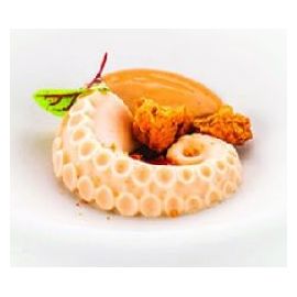 Форма силик. д/вып. SILIKOMART "осьминог" 300х175х20мм, 12 ячеек POLPO20 купить в Е.Маркет