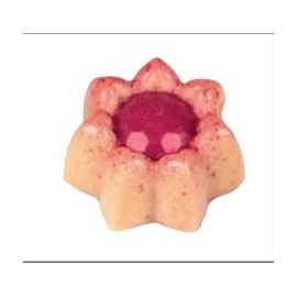 Форма д/шок. "DAFNE" 35х35 H16мм, 24 ячеек, 11гр. п/к MA1055 купить в Е.Маркет