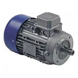 Двигатель переменного тока 3-х фазный для тестомеса IM25-38SN, арт.SL3311 купить в Е.Маркет